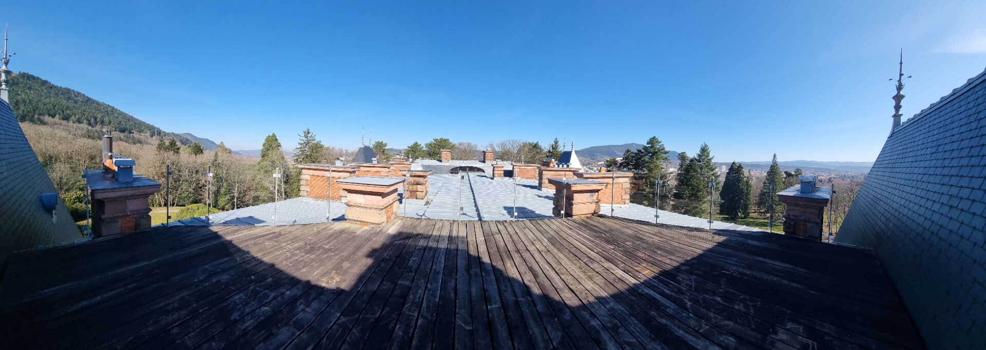 Photo Dans château de 1896 : Appartement Bourgeois SAINT-DIE - 8 pièce(s) - 357 m2 image 6/6