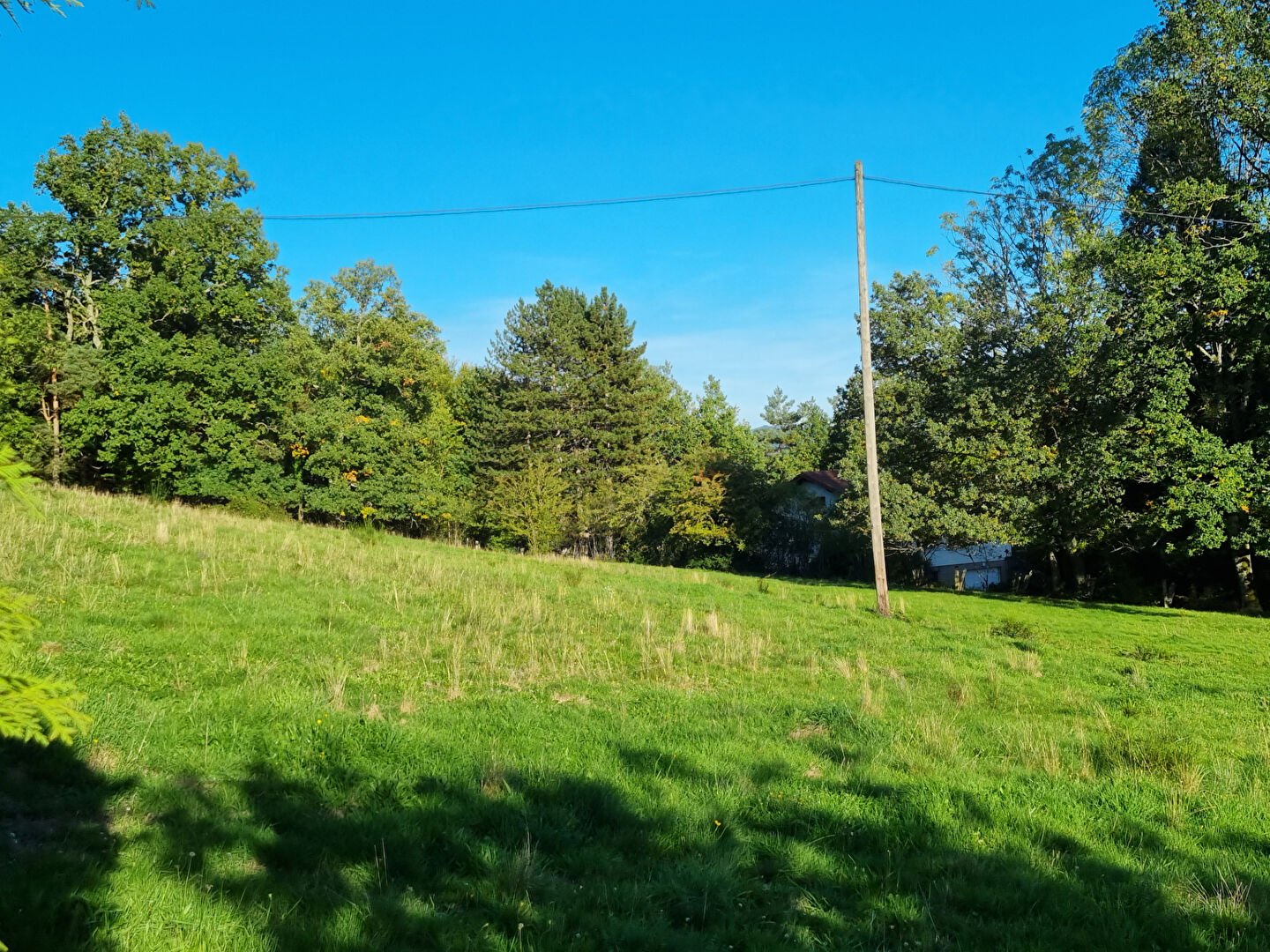 Terrain à bâtir borné et non viabilisé Saulcy Sur Meurthe 3087 m2