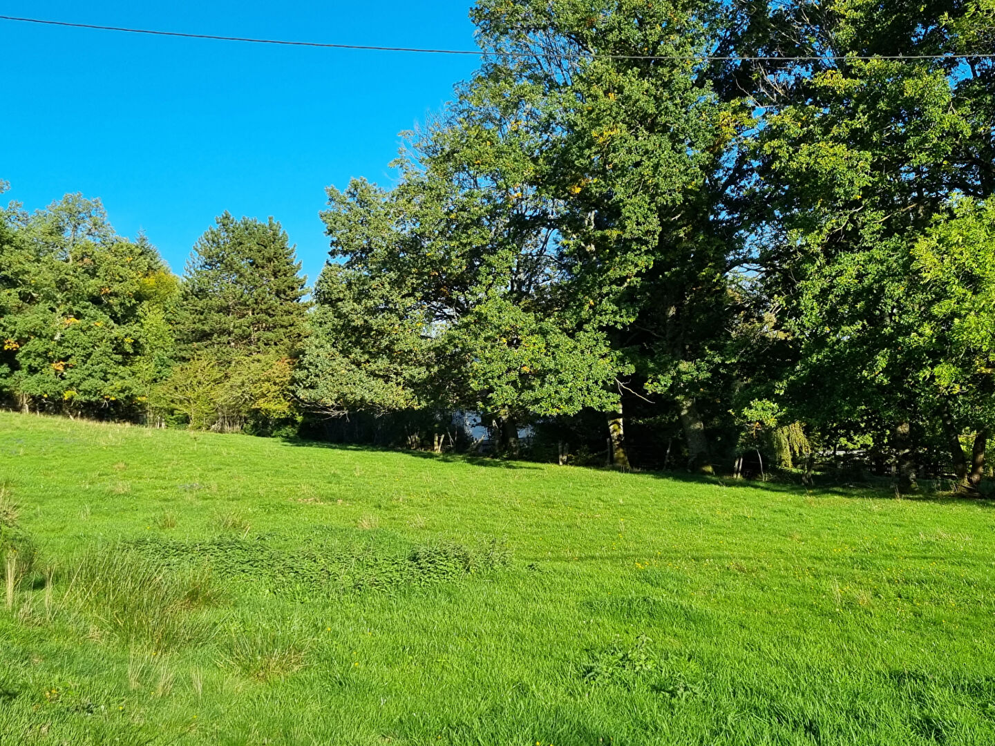 Photo Terrain à bâtir borné et non viabilisé Saulcy Sur Meurthe 3087 m2 image 2/3