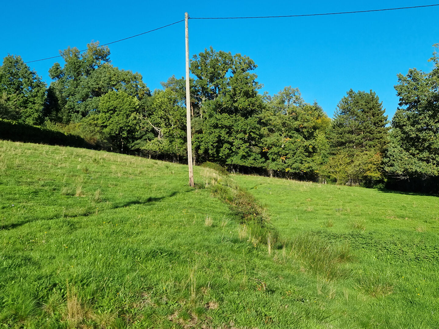 Photo Terrain à bâtir borné et non viabilisé Saulcy Sur Meurthe 3087 m2 image 3/3