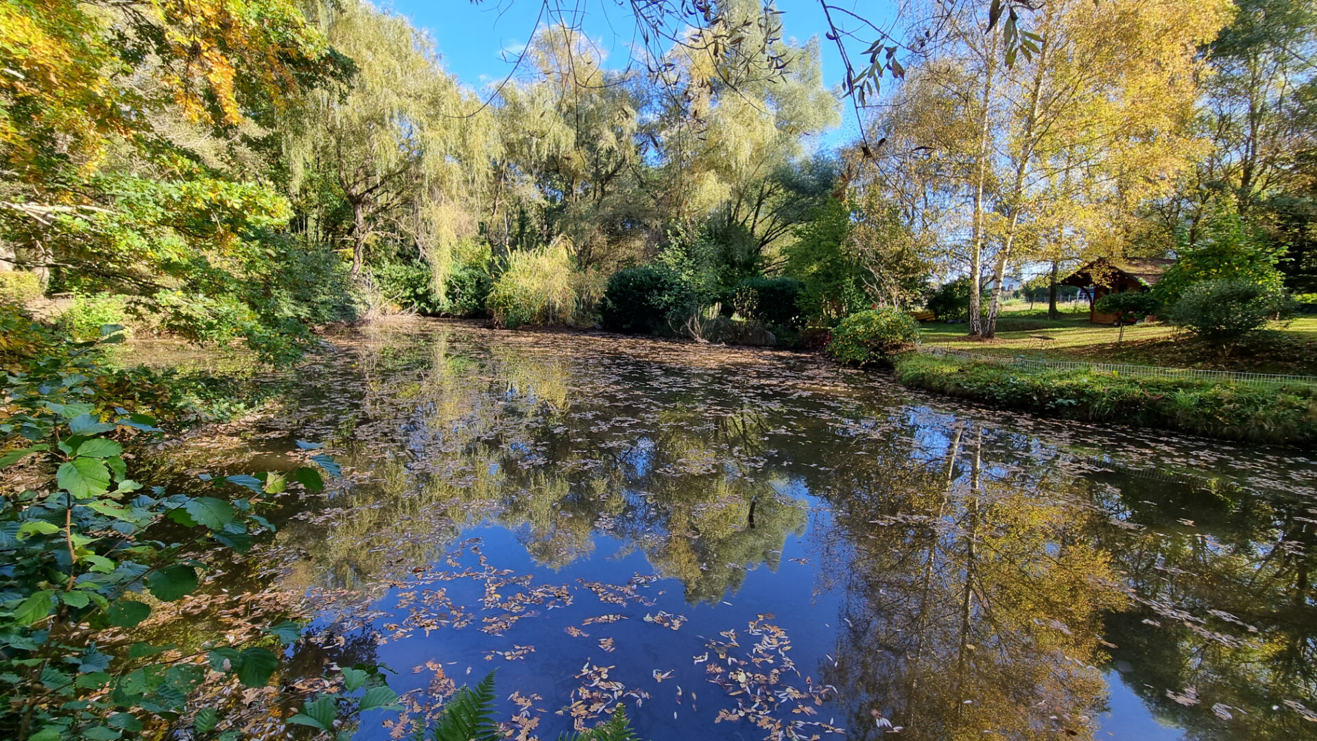 Plan d'eau sur terrain de plus de 4400 m² paysager, arboré.