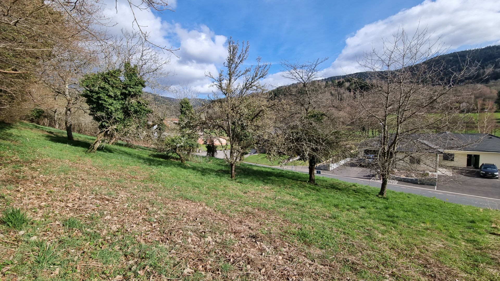 Agence immobilière de IM PLUS St die des vosges - IM PLUS