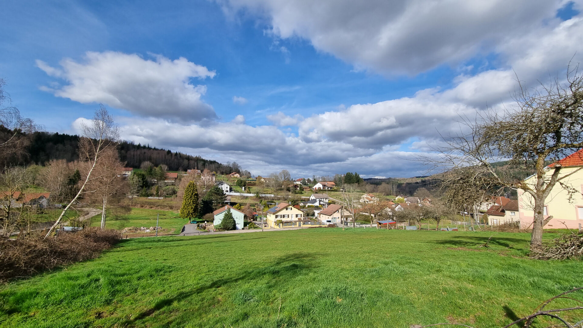 Agence immobilière de IM PLUS St die des vosges - IM PLUS