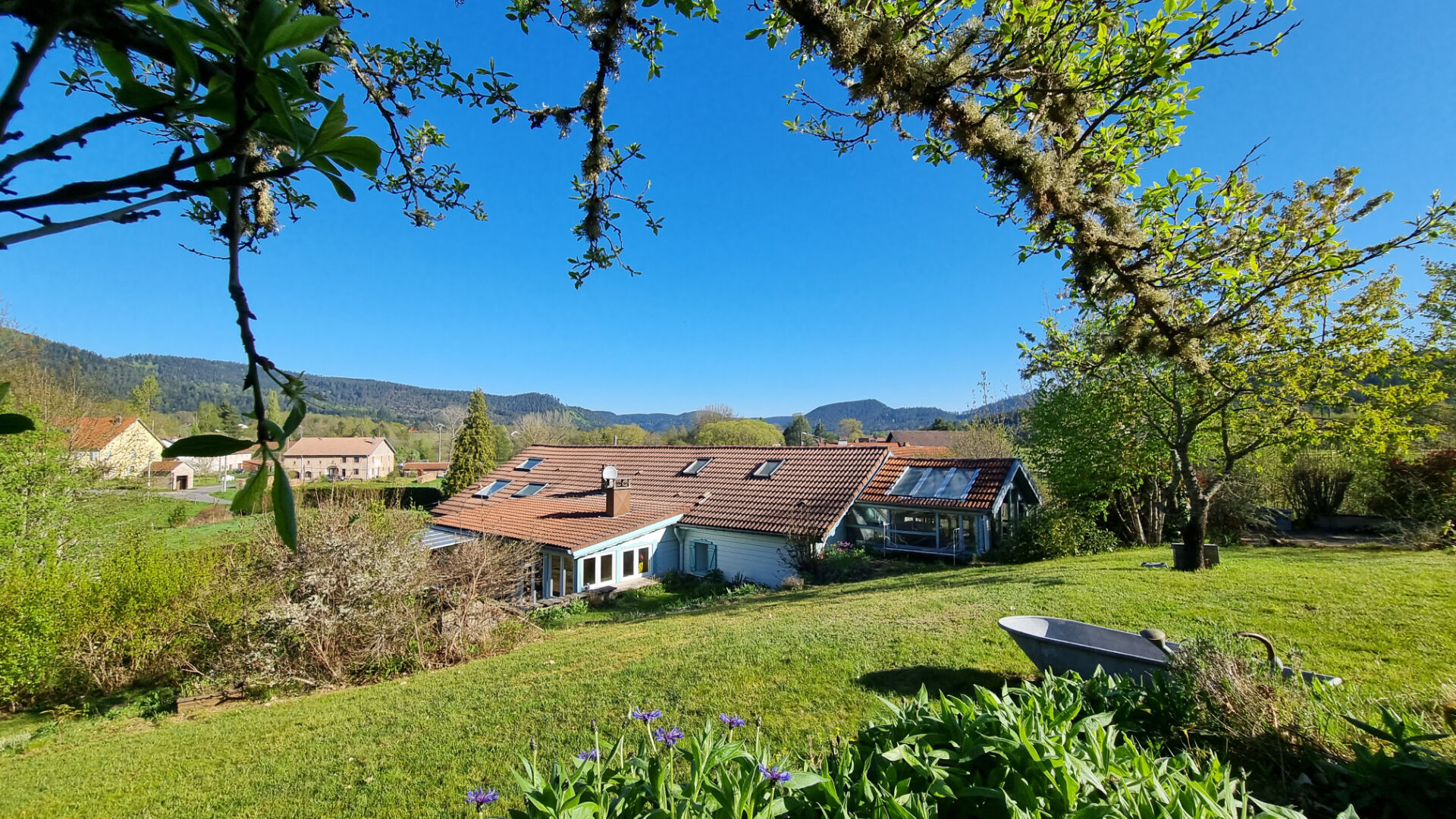 Agence immobilière de IM PLUS St die des vosges - IM PLUS