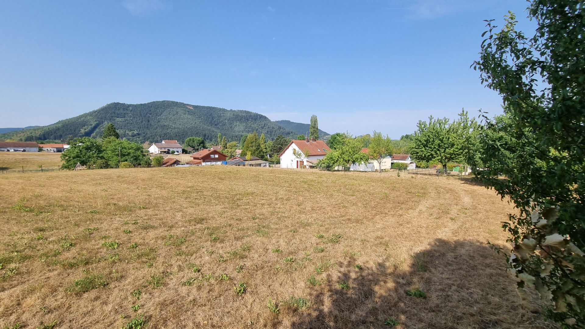 Agence immobilière de IM PLUS St die des vosges - IM PLUS