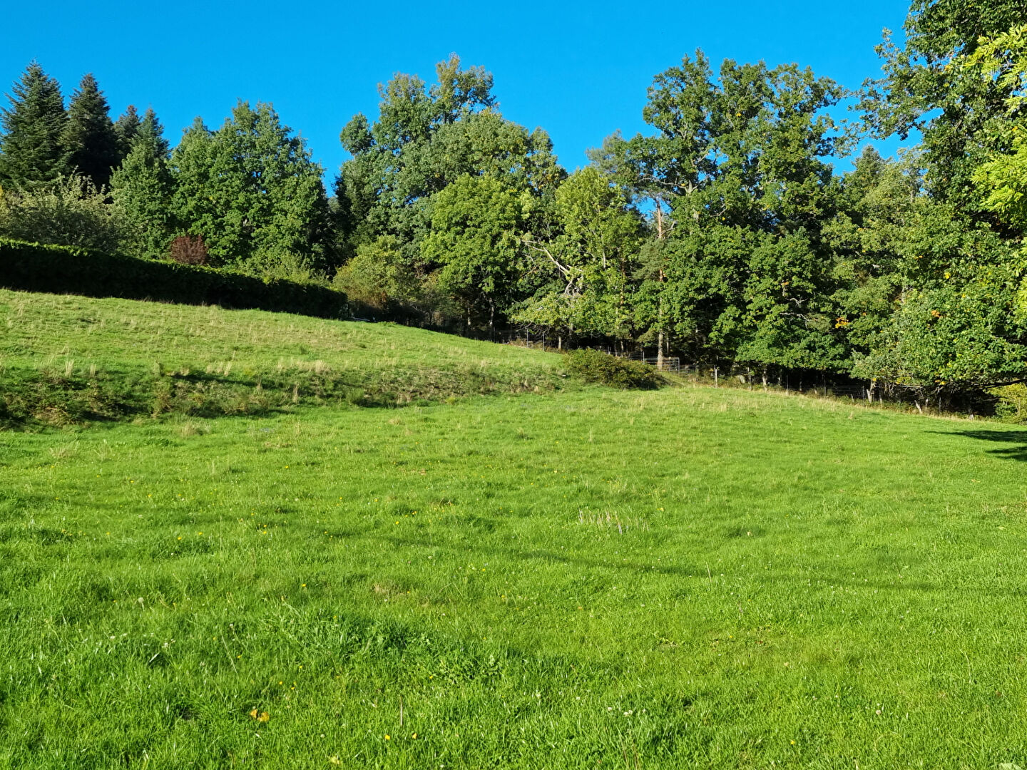 Agence immobilière de IM PLUS St die des vosges - IM PLUS