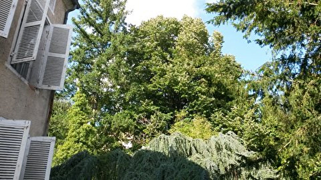 Photo Maison de Maitre 220 m² + combles, tous projets terrain 850 m² image 3/3