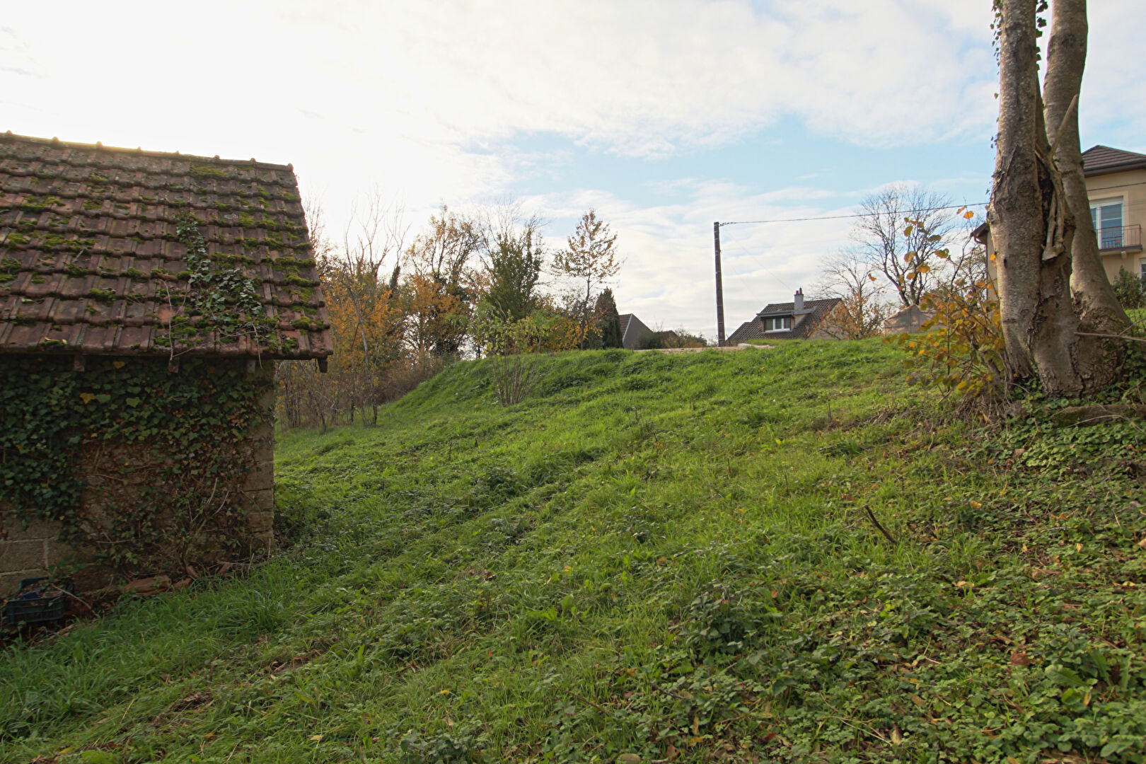 Photo Terrain Larnod 1700 m2 image 2/5