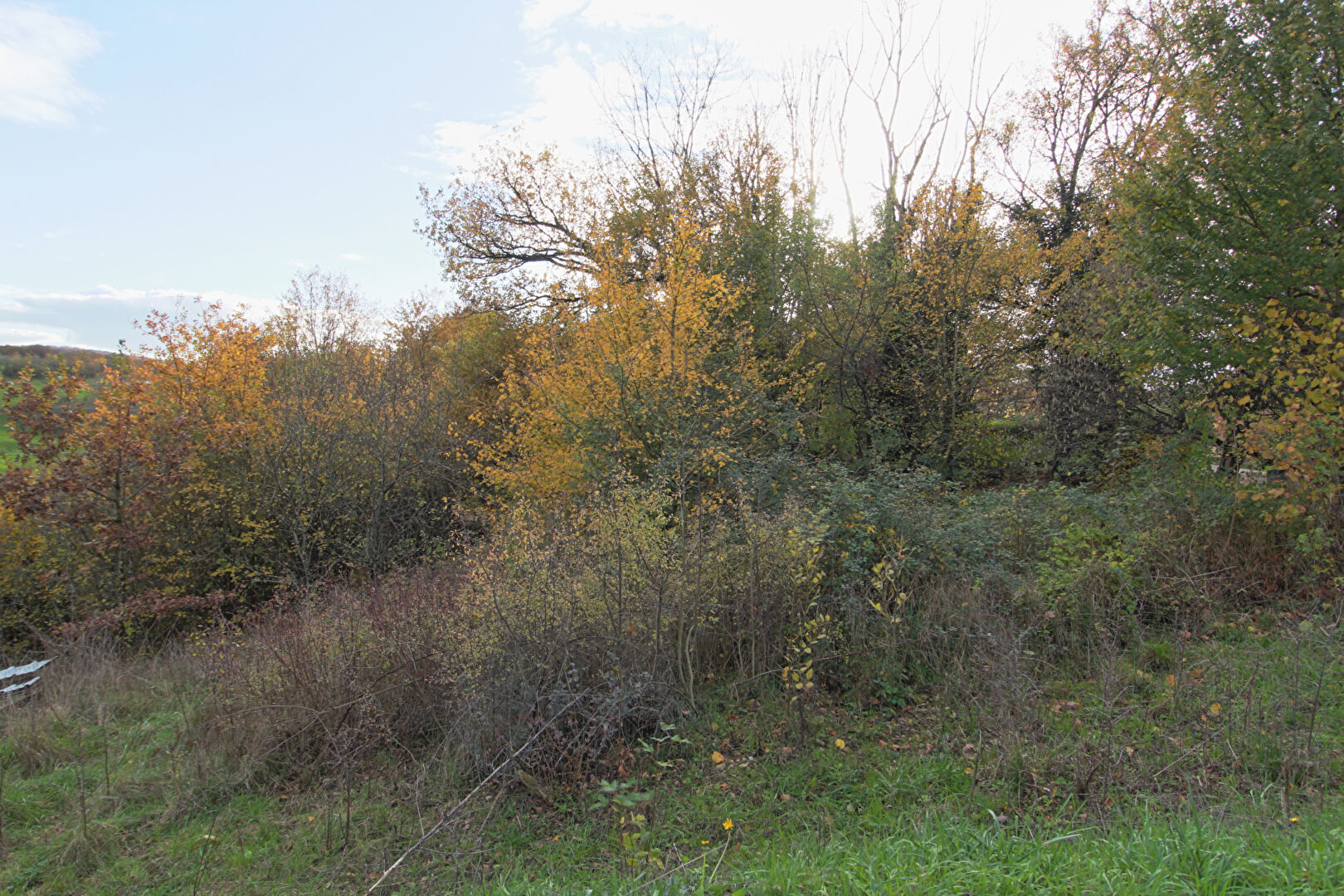 Photo Terrain Larnod 1700 m2 image 3/5