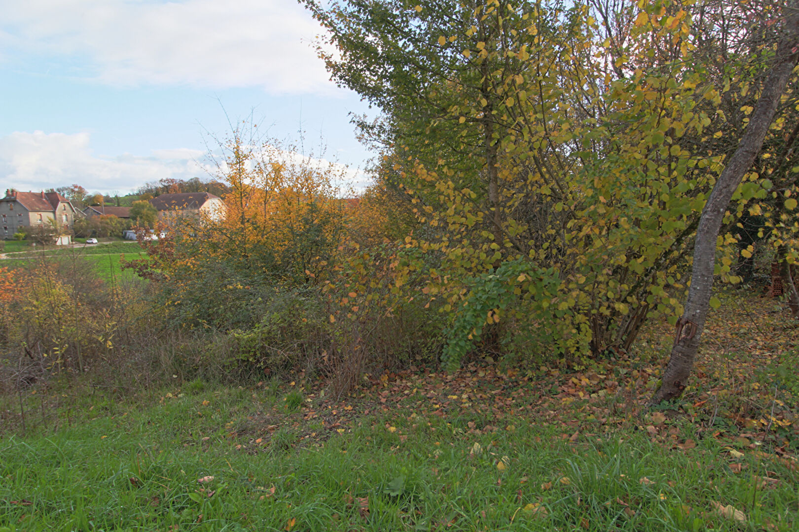 Photo Terrain Larnod 1700 m2 image 4/5