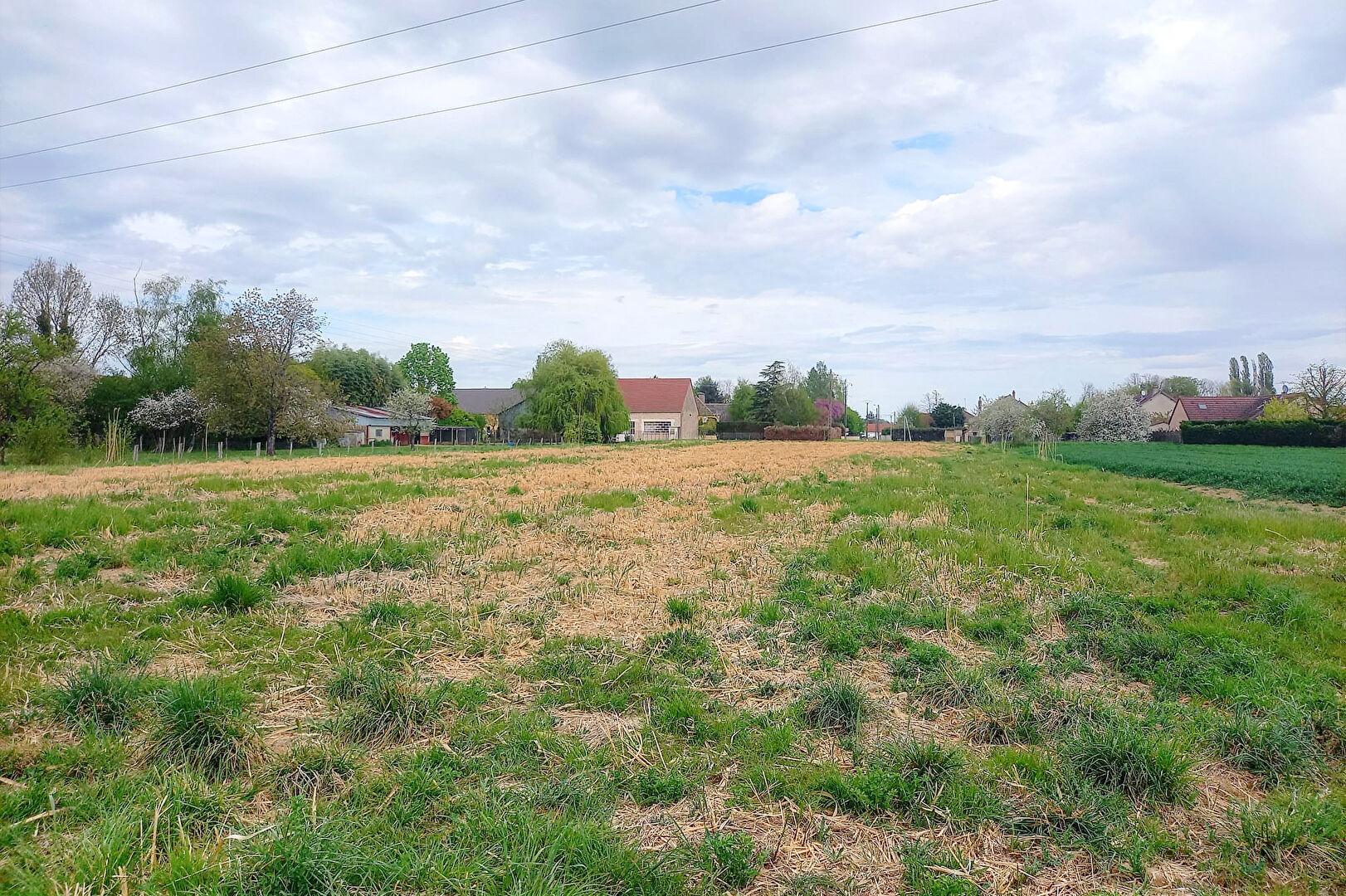 Photo Brazey-en-Plaine - Terrain constructible viabilisé image 3/6