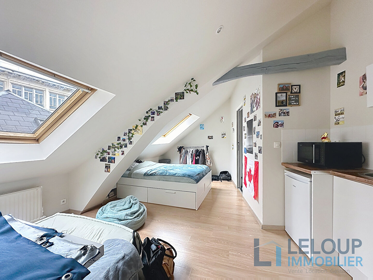 Agence immobilière de LELOUP IMMOBILIER