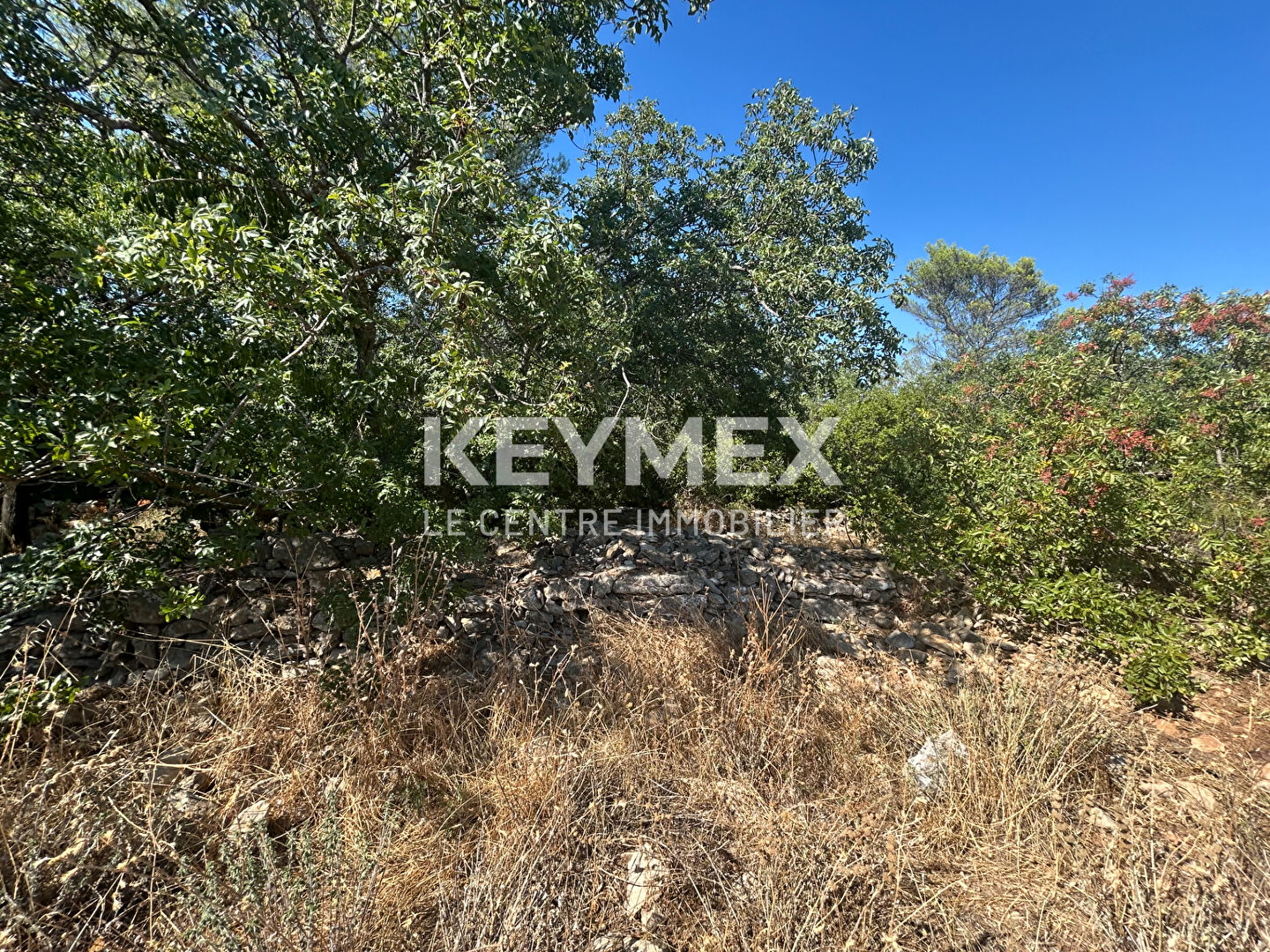Agence immobilière de KEYMEX AMBITIONS