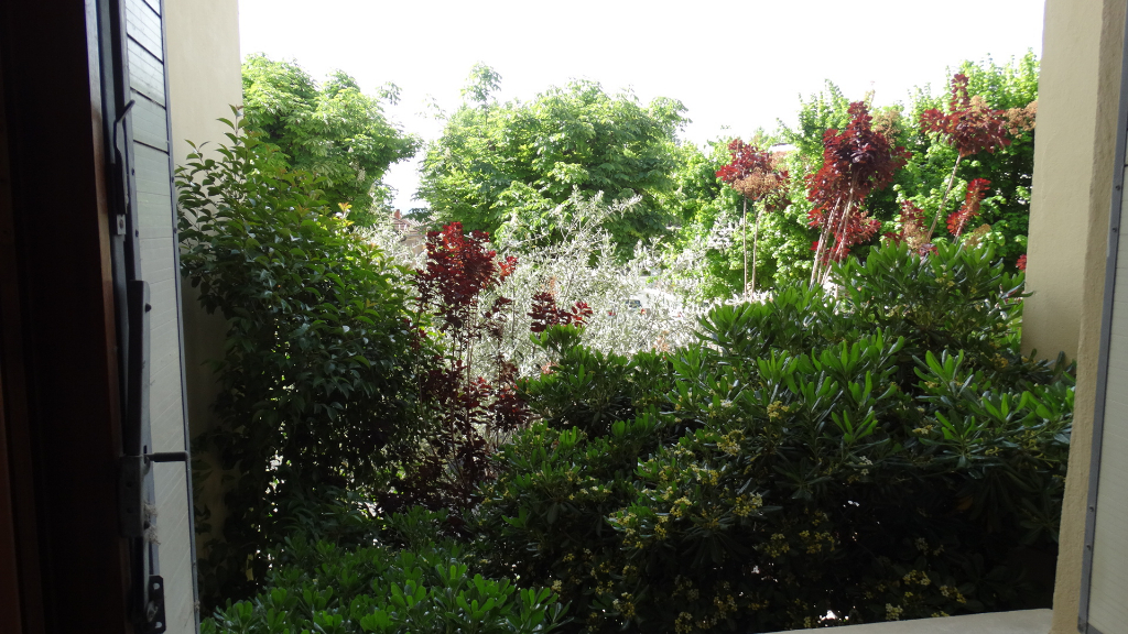 Photo Appartement Carpentras 2 pièce(s) 50 m² image 3/6