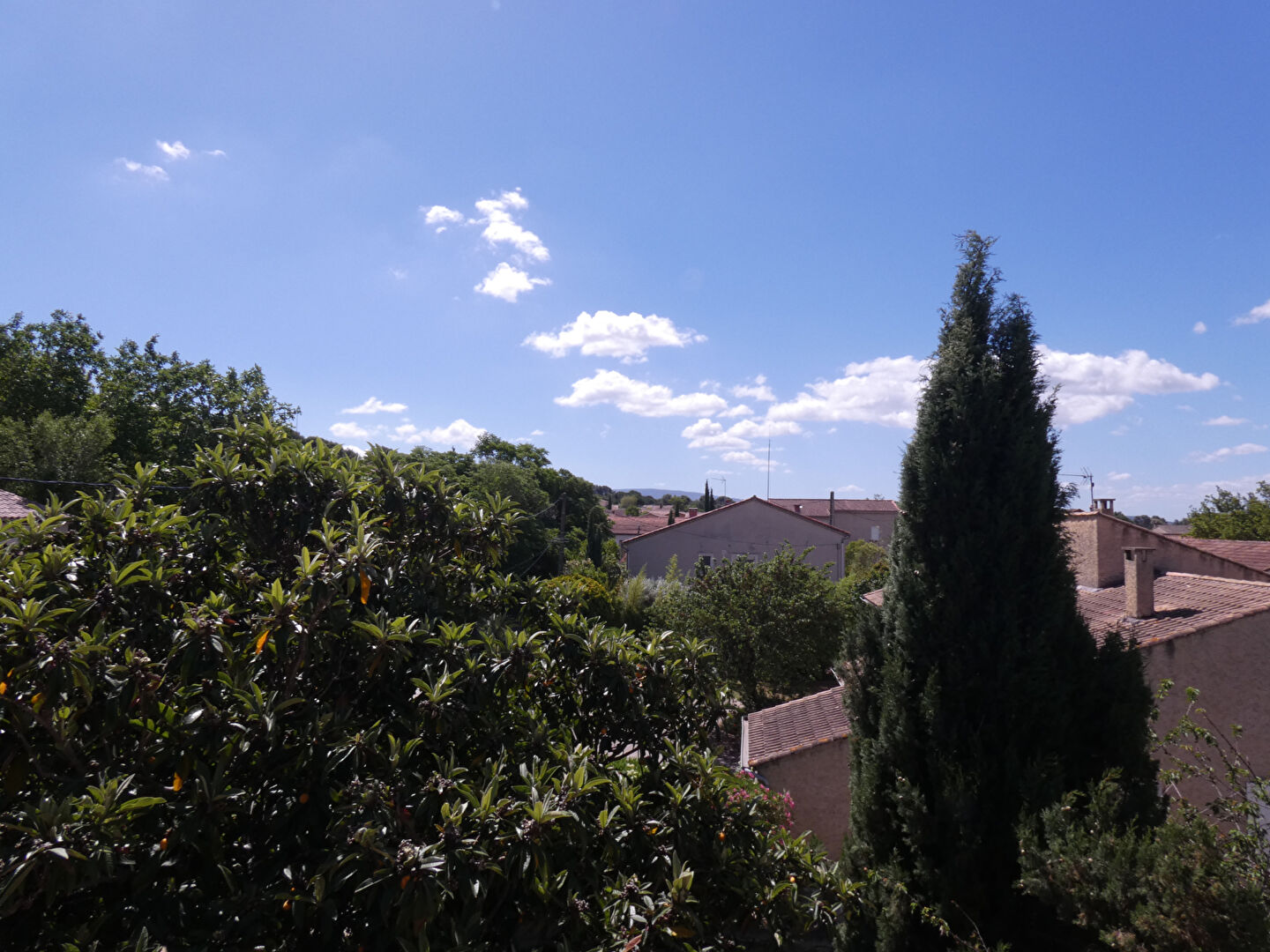 Photo Mas Carpentras 9 pièce(s) 250 m2 image 3/6