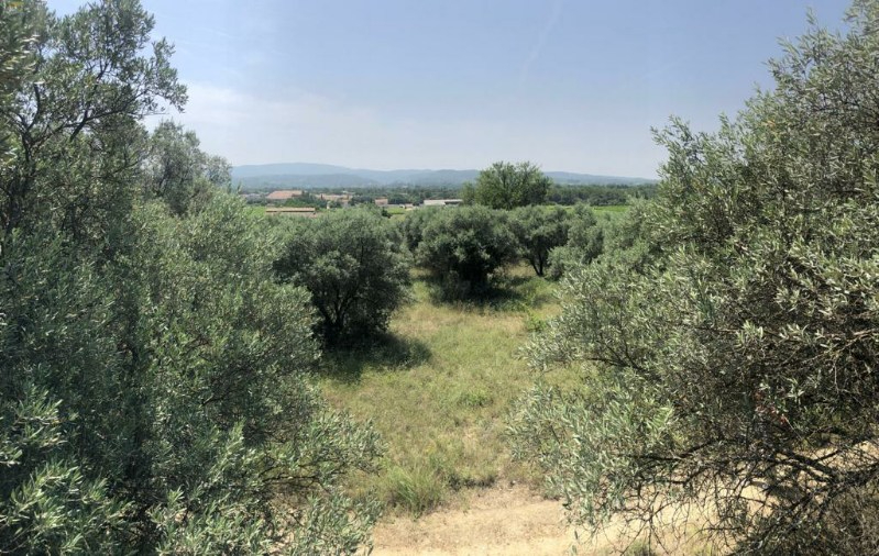 Domaine agricole Mazan