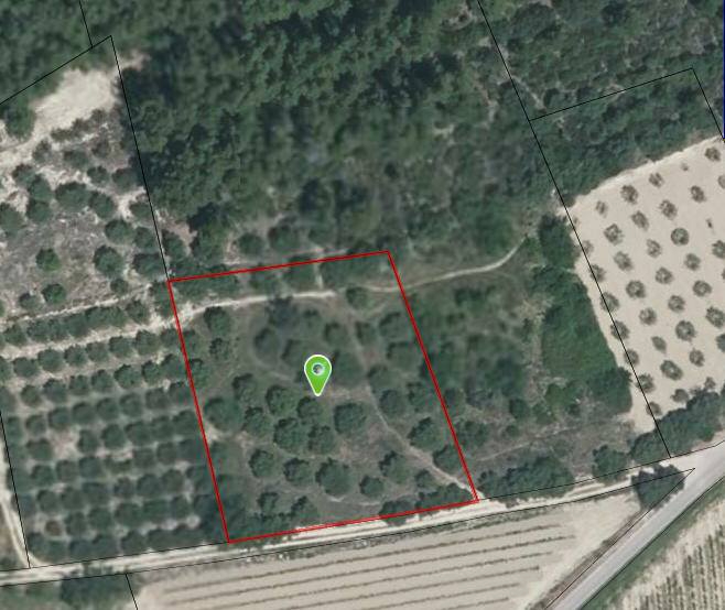 Photo Domaine agricole Mazan image 2/6