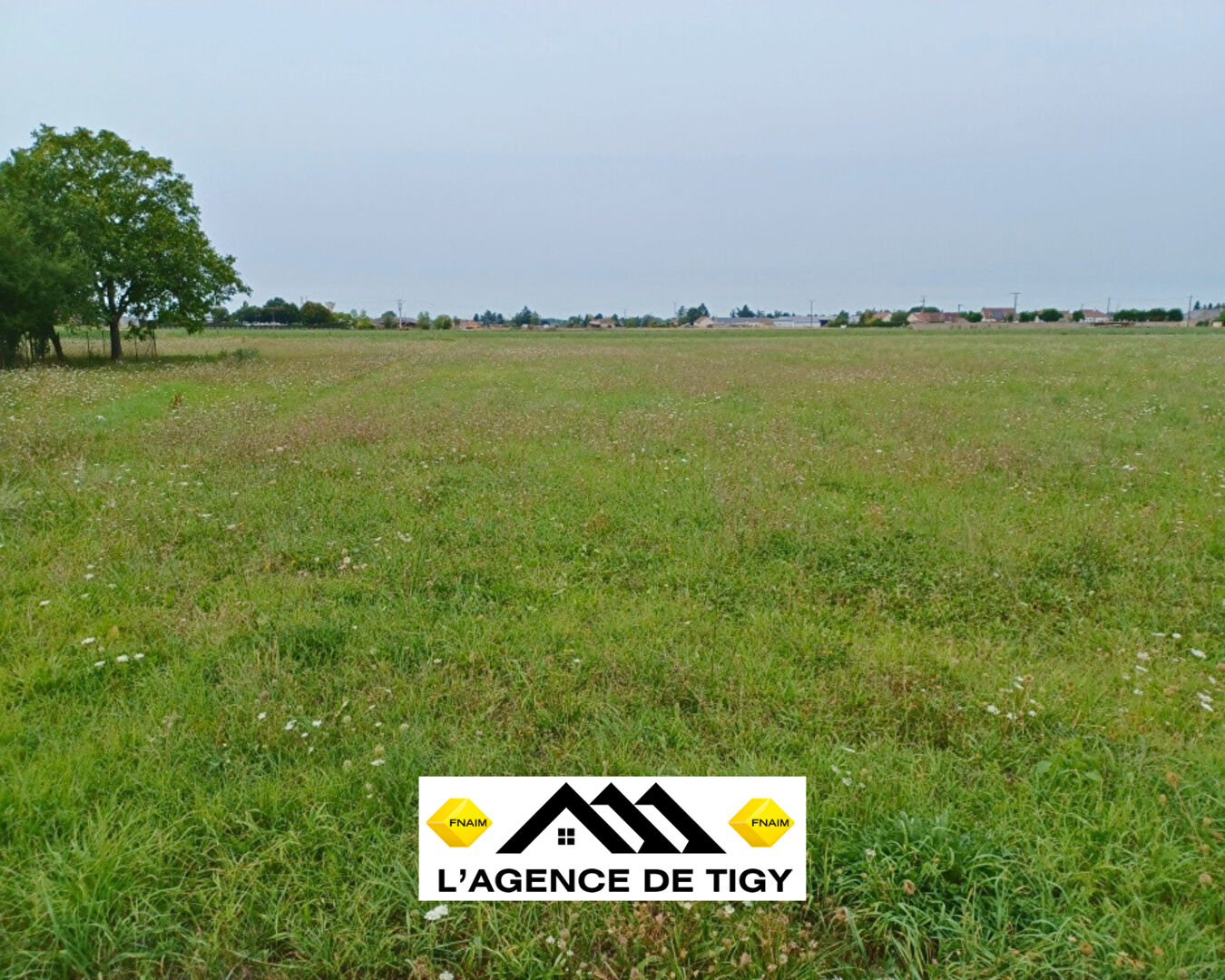 Agence immobilière de L'Agence de Tigy