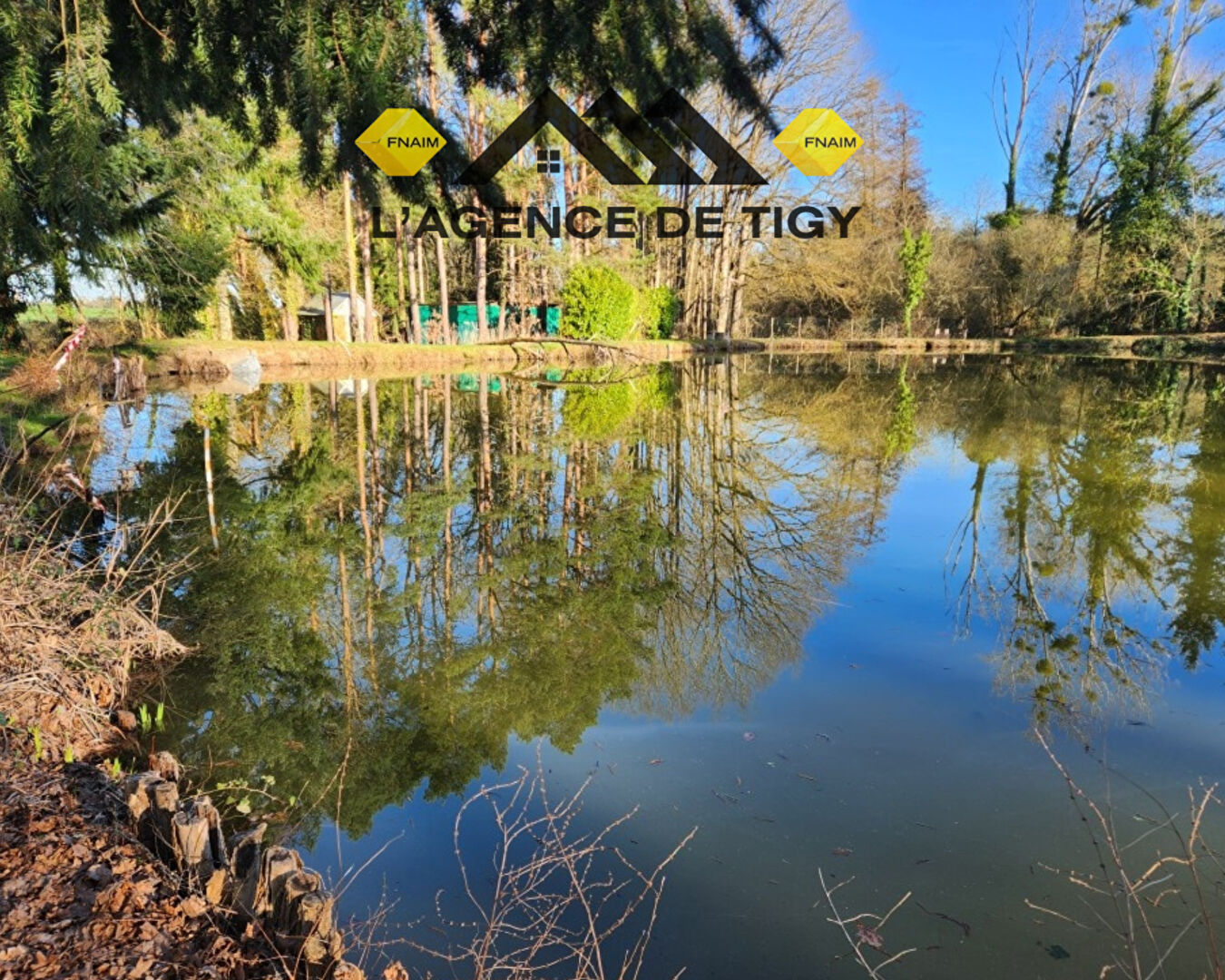 Agence immobilière de L'Agence de Tigy