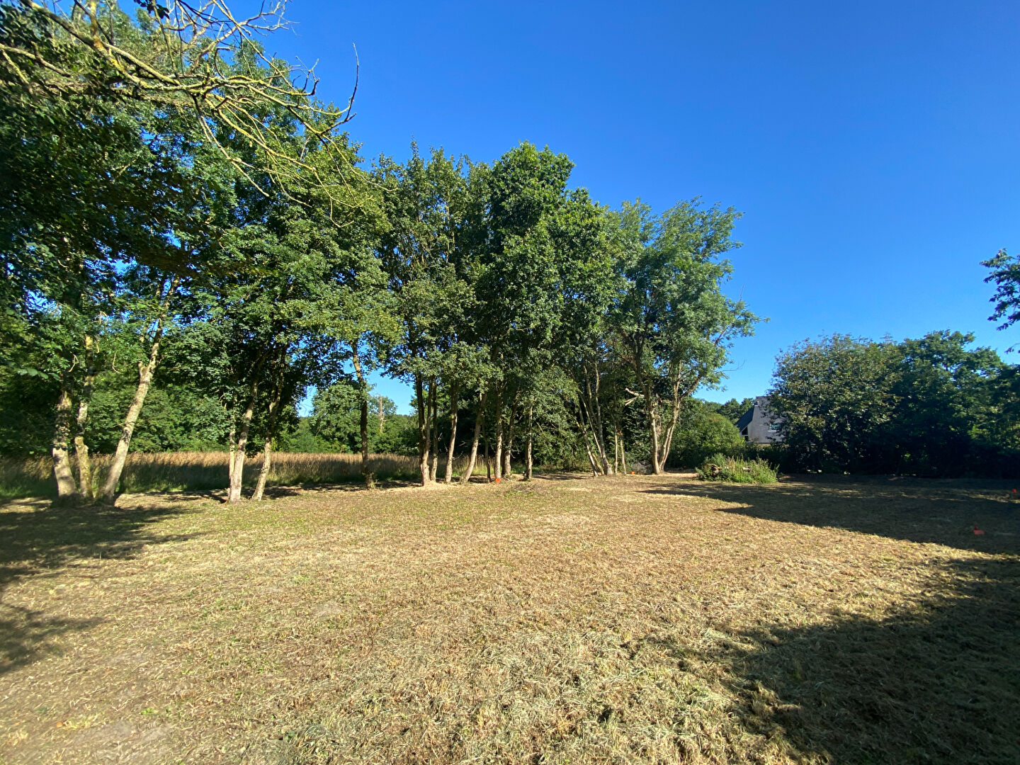 Agence immobilière de Lamballe Immobilier