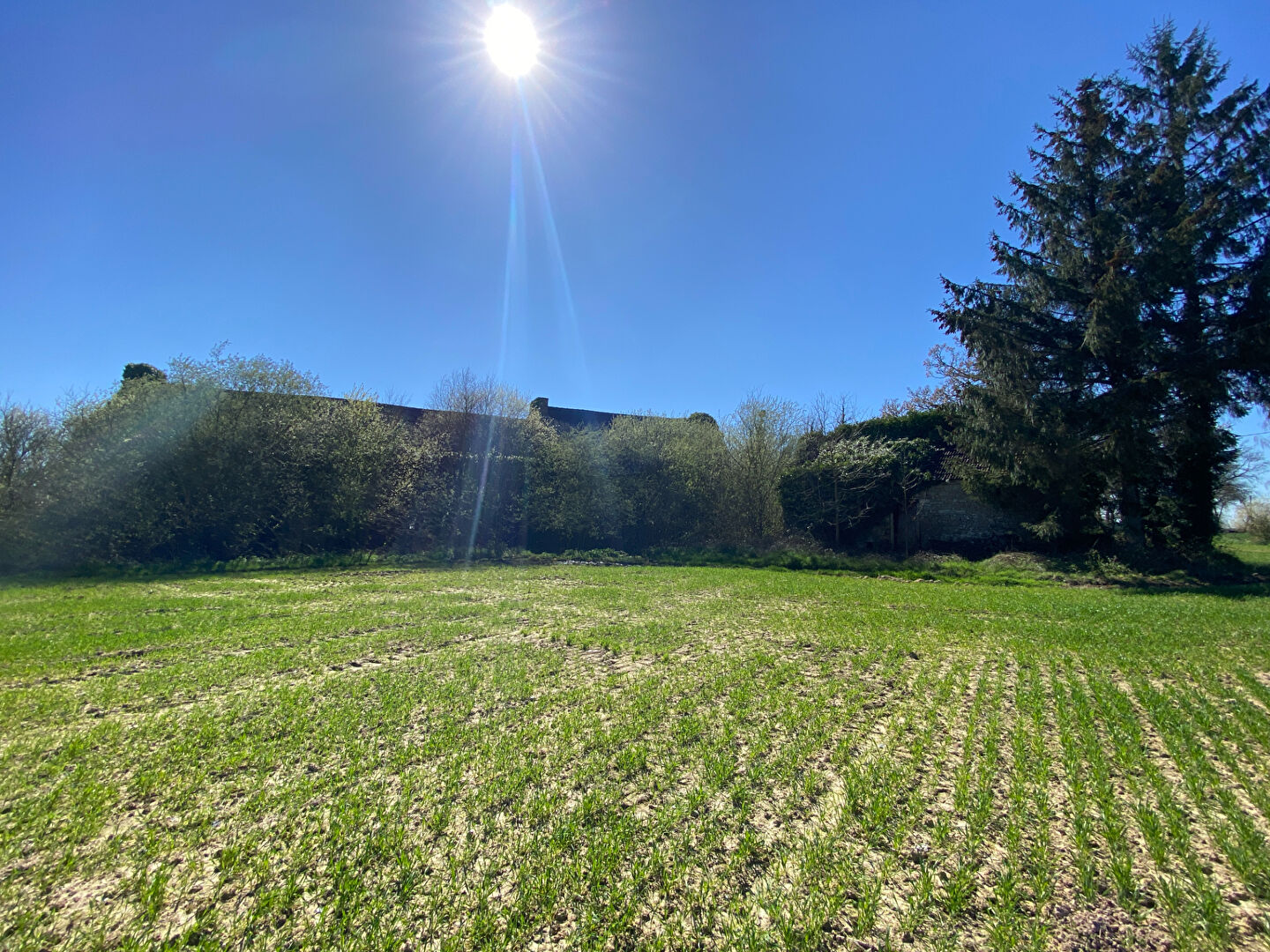 Photo BEL ENSEMBLE EN PIERRES À RÉNOVER ! image 3/6