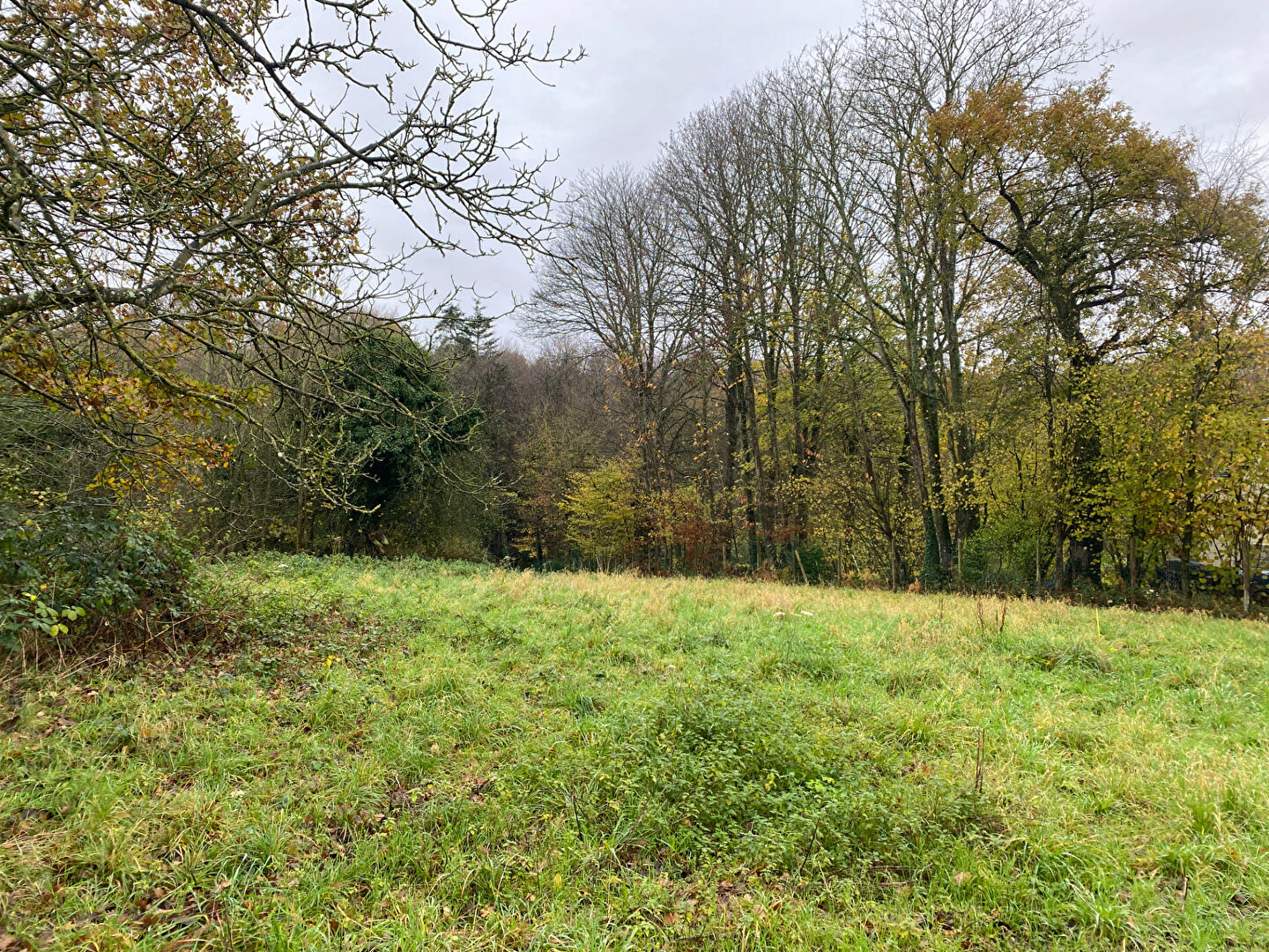 Photo BEAU TERRAIN CONSTRUCTIBLE À LAMBALLE-ARMOR ! image 2/6