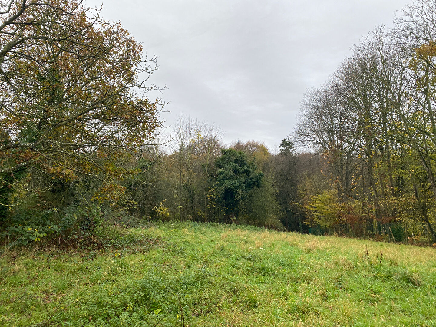 Photo BEAU TERRAIN CONSTRUCTIBLE À LAMBALLE-ARMOR ! image 3/6