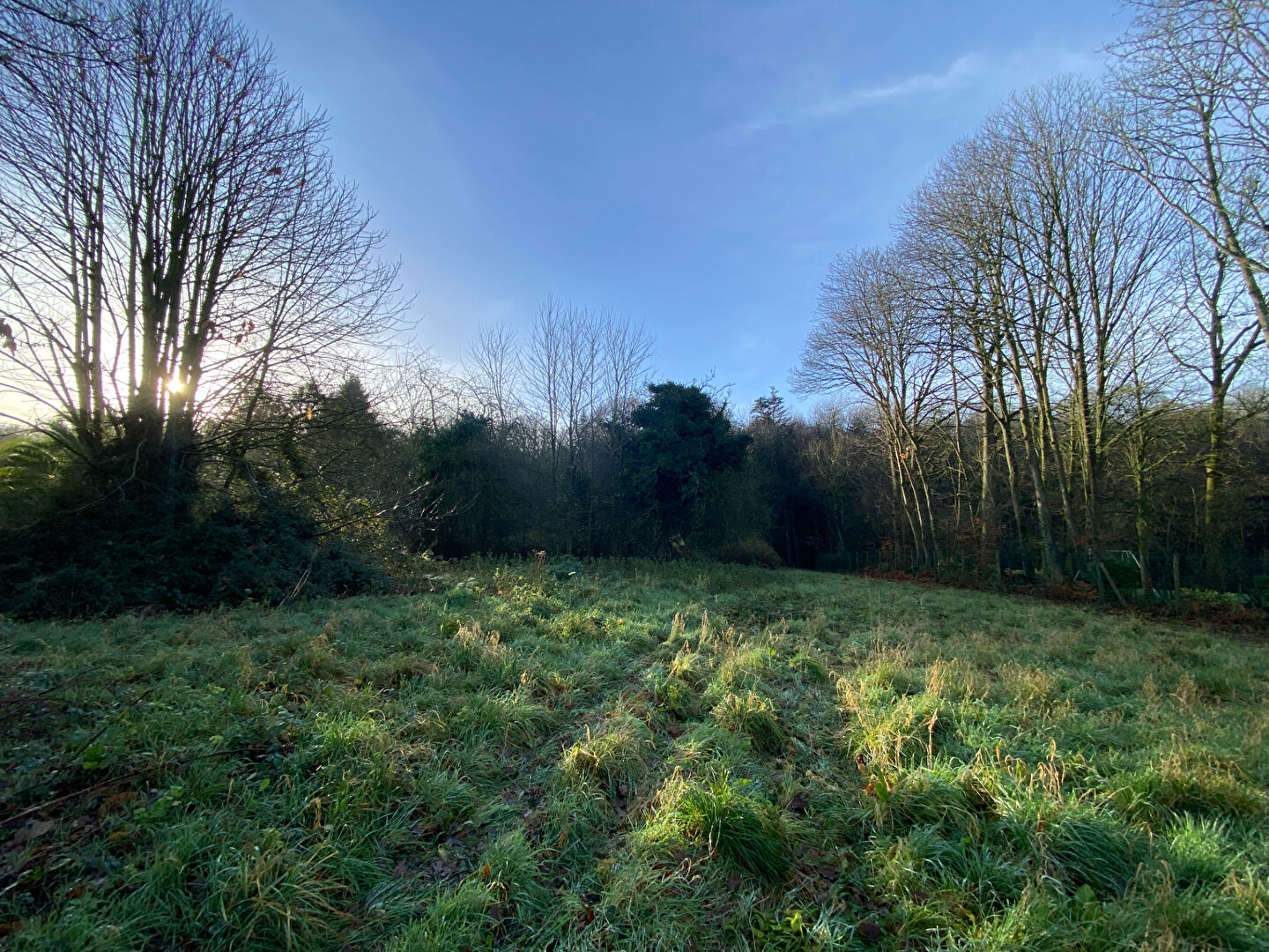 Photo BEAU TERRAIN CONSTRUCTIBLE À LAMBALLE-ARMOR ! image 4/6