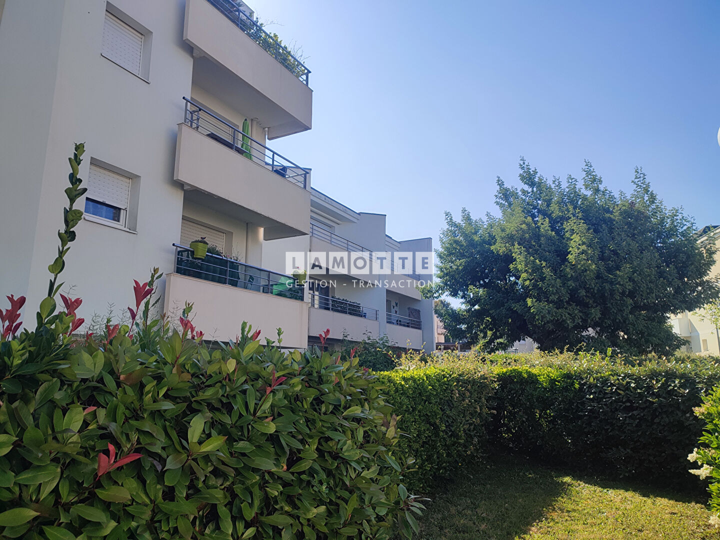 Agence immobilière de 
 LAMOTTE GESTION TRANSACTION - LAMOTTE GESTION TRANSACTION VANNES 
