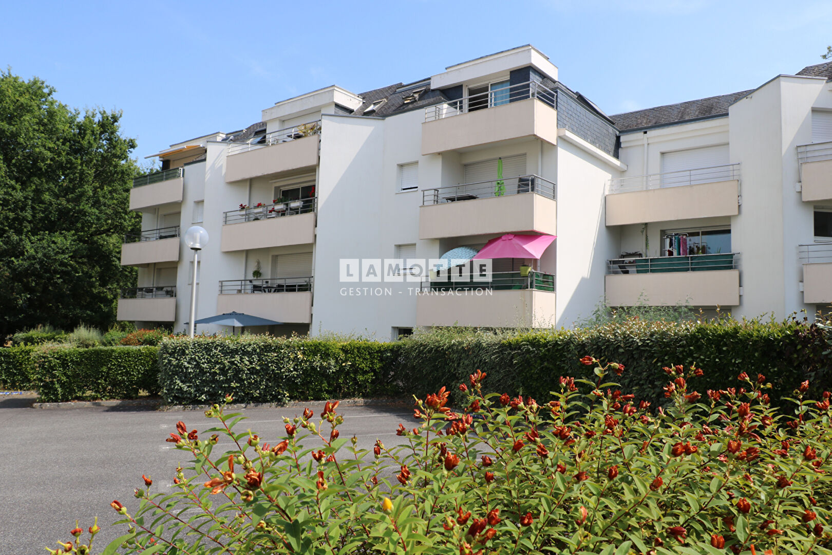 Agence immobilière de 
 LAMOTTE GESTION TRANSACTION - LAMOTTE GESTION TRANSACTION VANNES 
