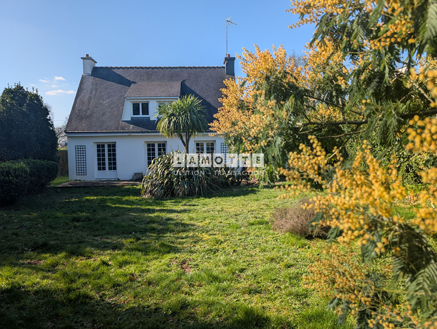 Agence immobilière de 
 LAMOTTE GESTION TRANSACTION - LAMOTTE GESTION TRANSACTION VANNES 
