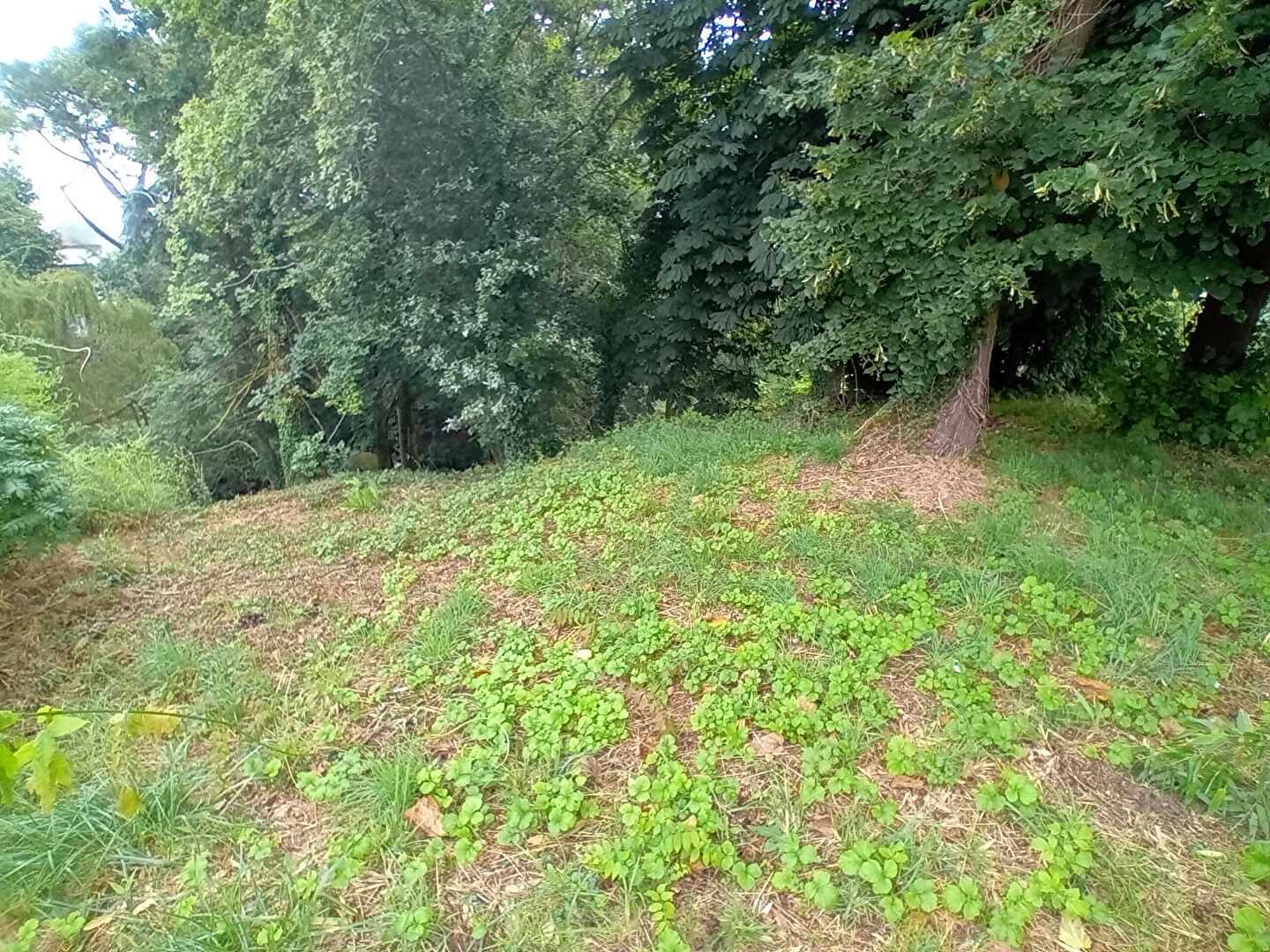 Agence immobilière de Lanvaux Immobilier - Saint-jean-Brévelay - Lanvaux Immobilier