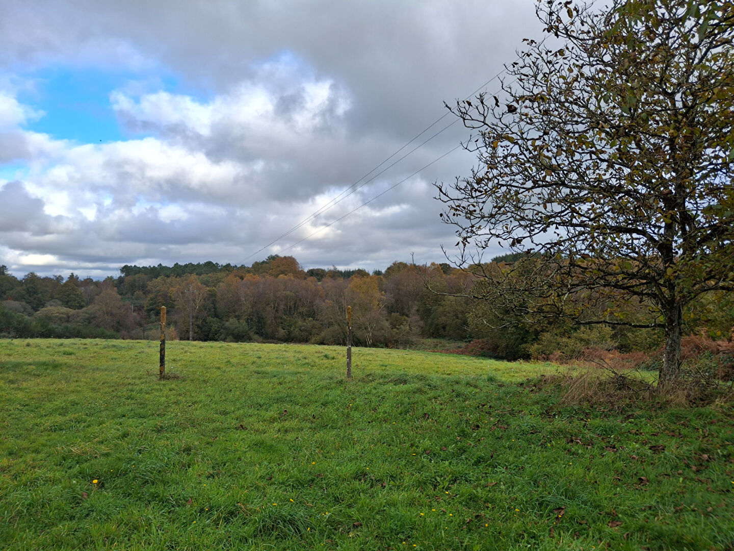 Photo Longère  Billio sur 16000m² de terrain image 3/6
