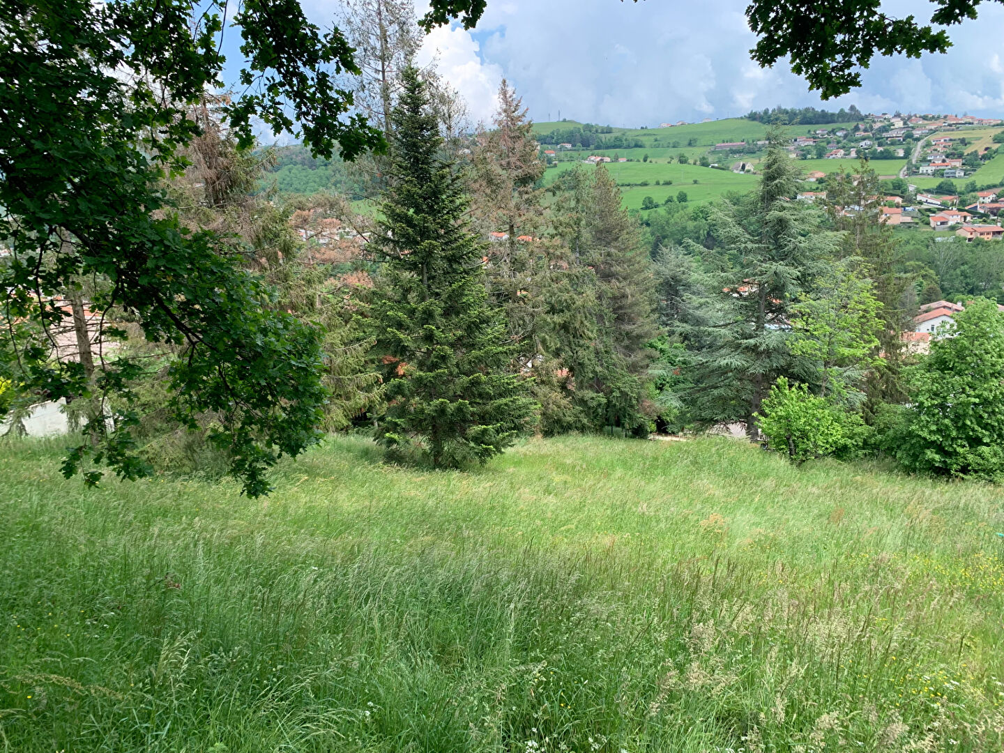 Terrain Sorbiers Valjoly