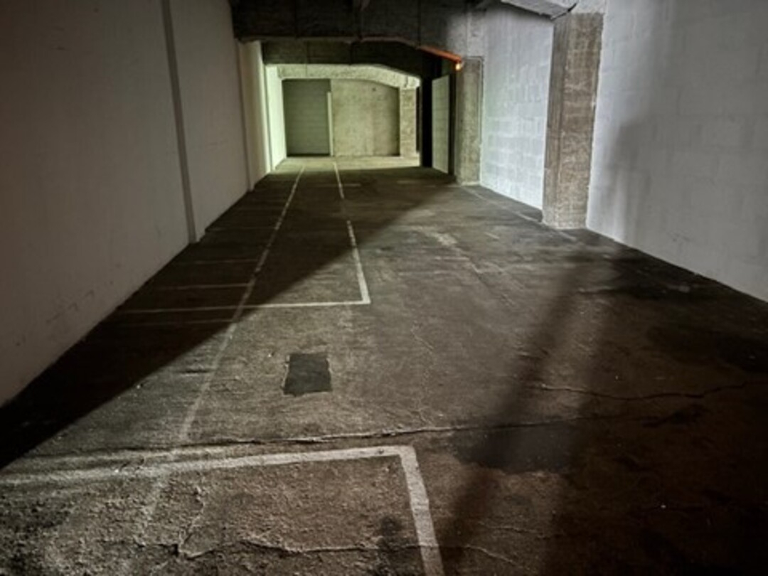 Photo Local commercial Saint Etienne 1203 m2 image 2/6