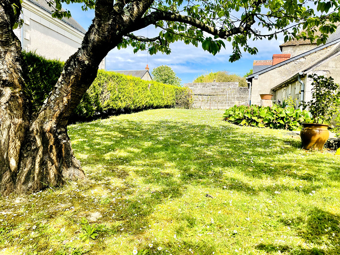 Photo LONGERE DE 180M2 image 2/6