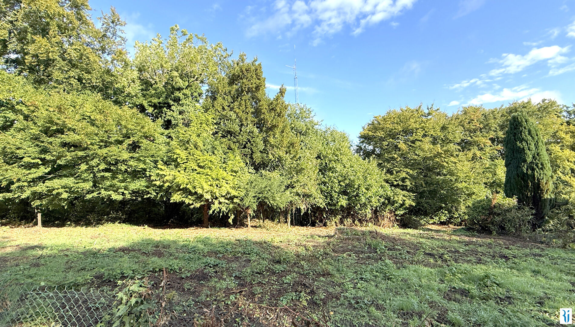 Photo Terrain Saint Martin Du Vivier 1181 m2 image 2/3