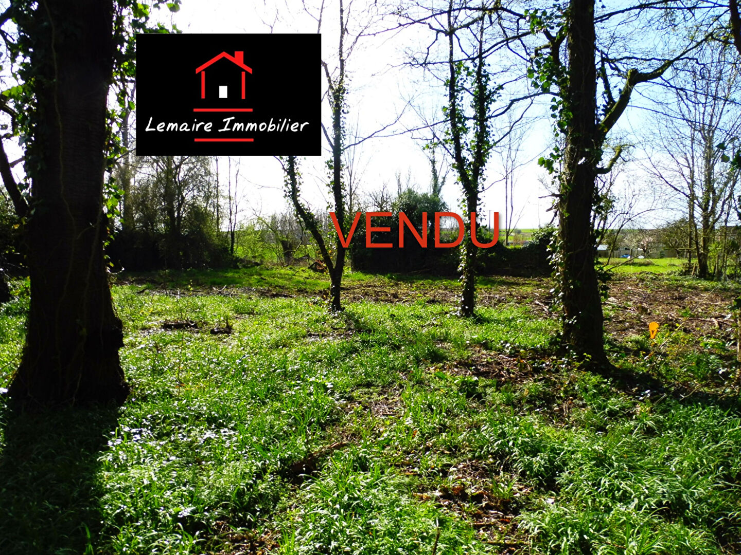 Agence immobilière de LEMAIRE IMMOBILIER Escarmain