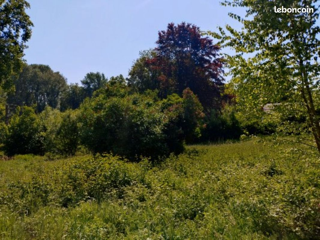 Agence immobilière de LEMAIRE IMMOBILIER Escarmain