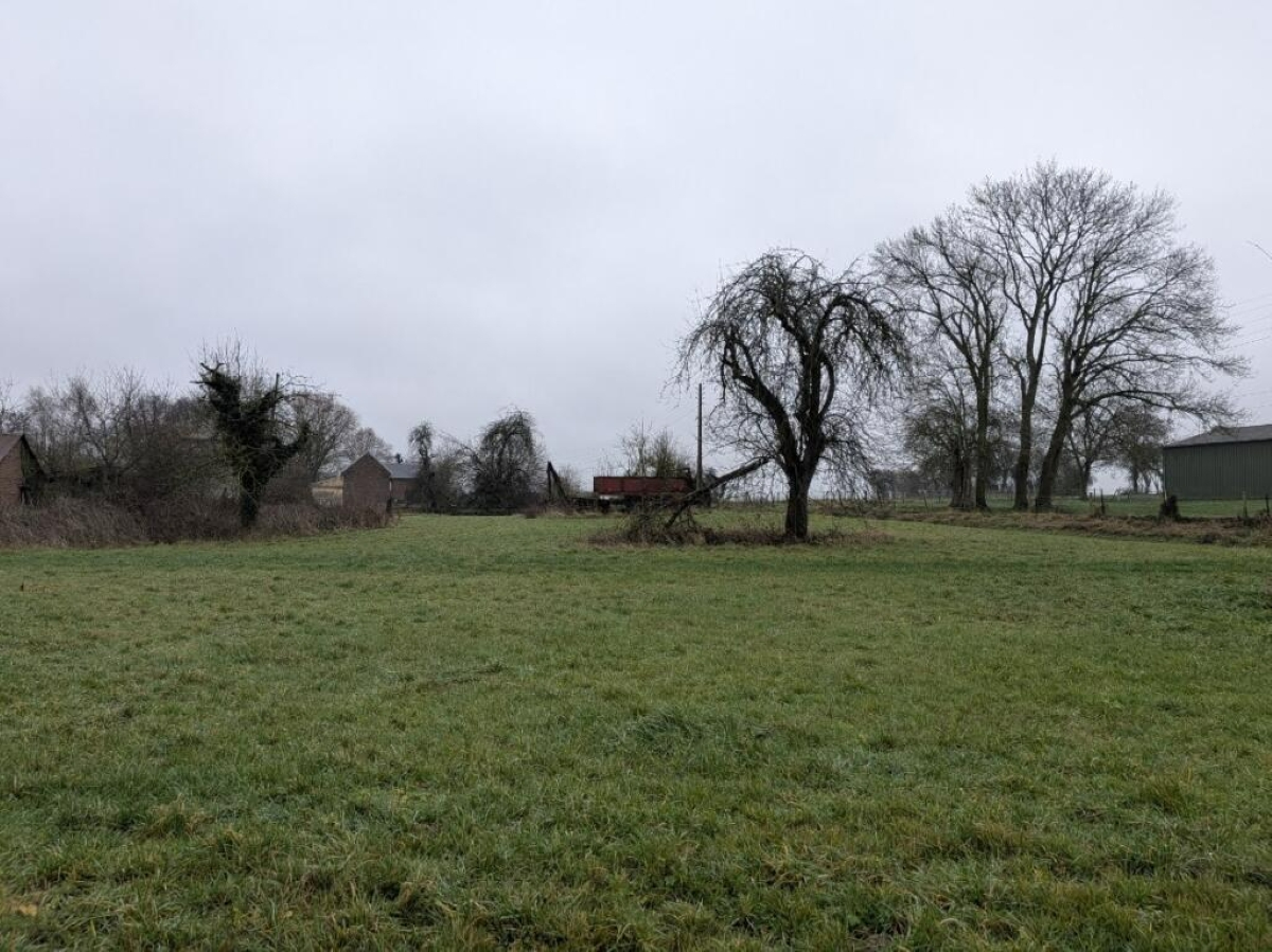 Agence immobilière de LEMAIRE IMMOBILIER Escarmain