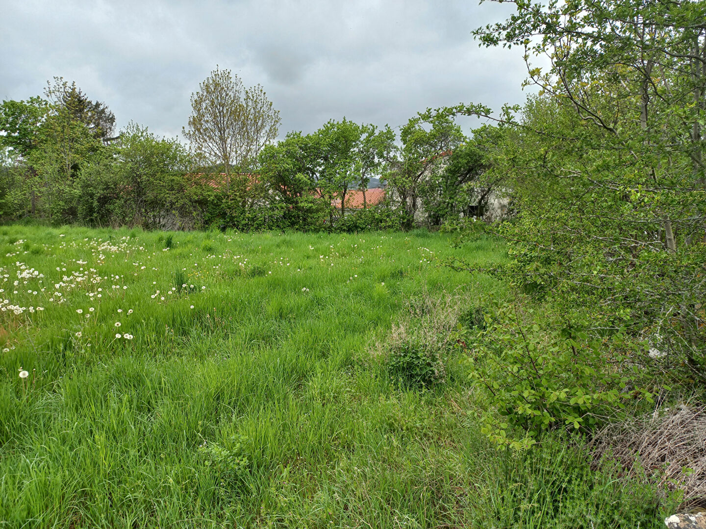 Photo Terrain + Maison (parcelle de 597 m²) ref 486 image 3/4