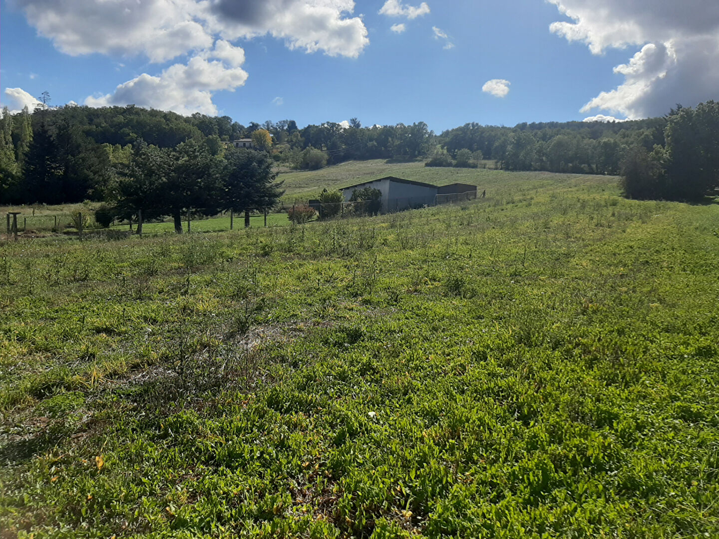 Photo Terrain + Maison (parcelle de 880 m²) Ref 489 image 3/3