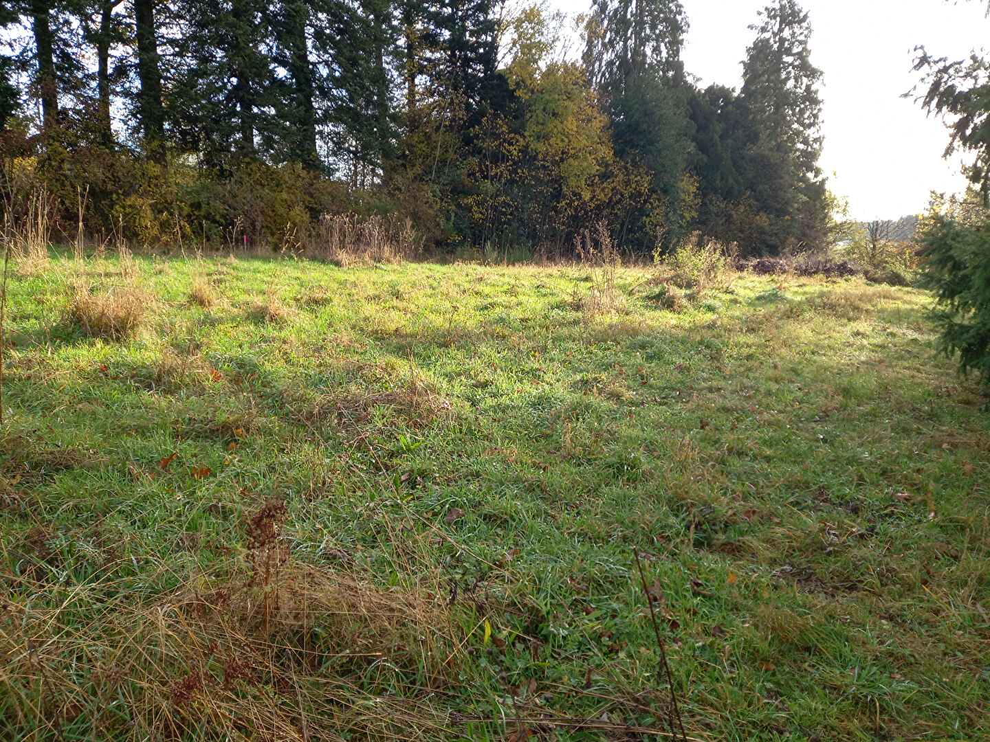 Photo Terrain + maison (parcelle de 837 m²) ref 494 image 2/2