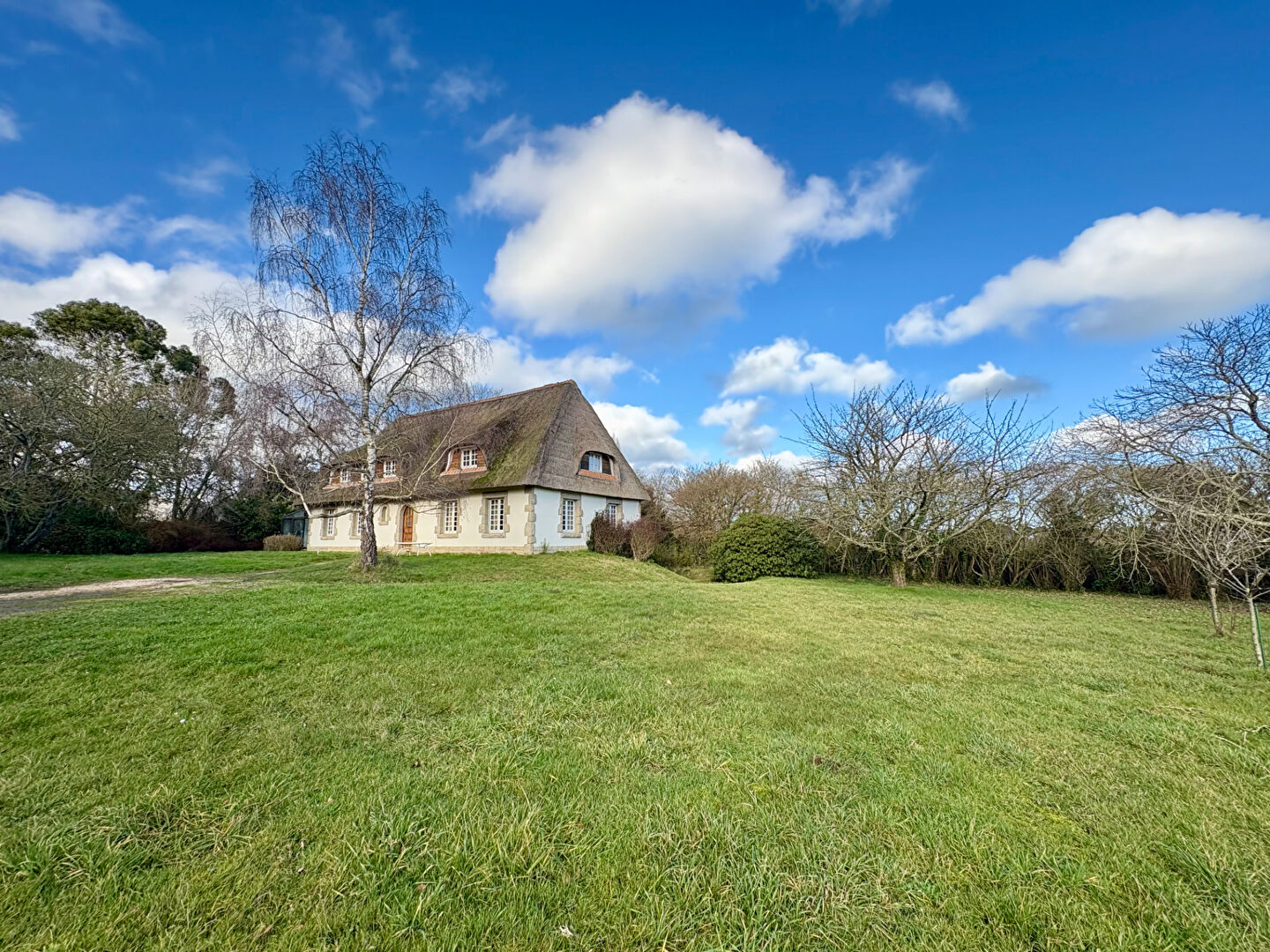 Agence immobilière de L'IMMOBILIER DU CHAI - L'IMMOBILIER DU CHAI