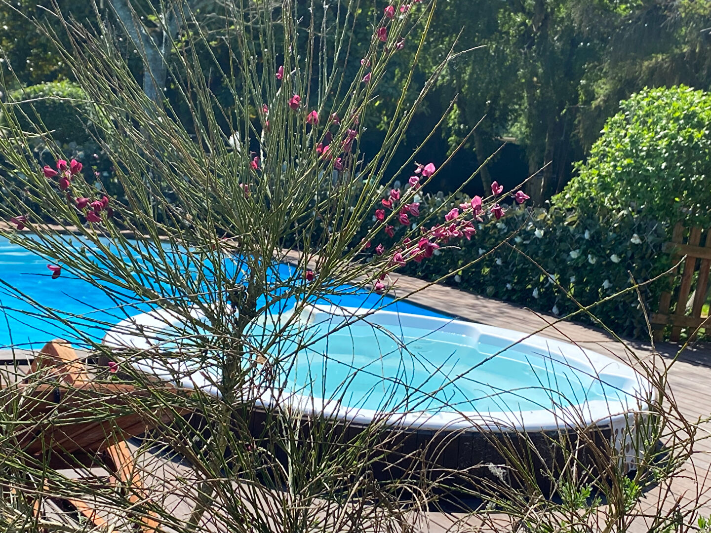 Photo VALLEE DE L'EURE, Belle propriété, avec installation équestre image 4/6