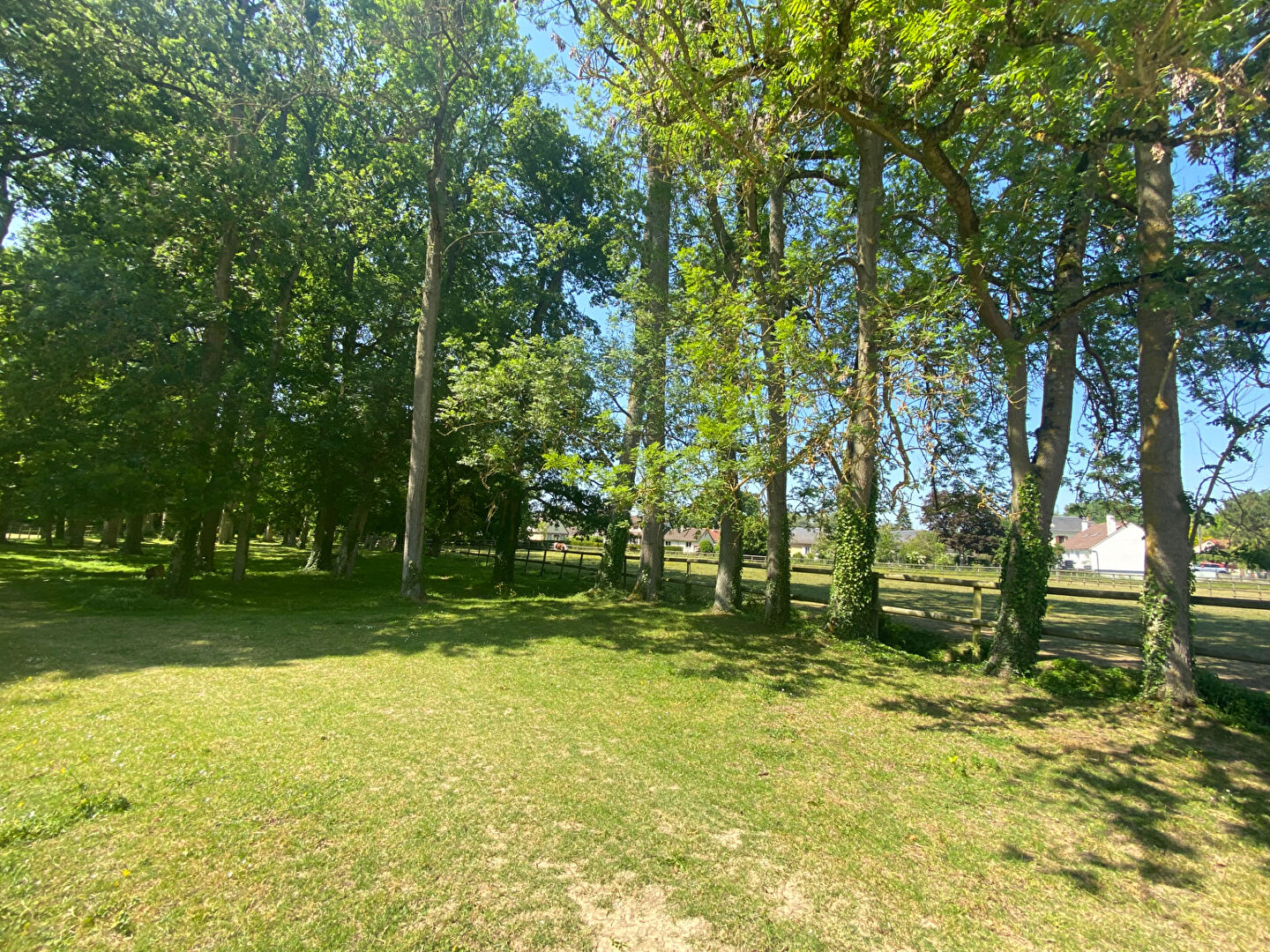 Photo VALLEE DE L'EURE, Belle propriété, avec installation équestre image 5/6