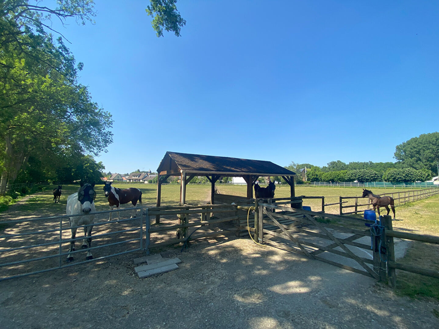Photo VALLEE DE L'EURE, Belle propriété, avec installation équestre image 6/6