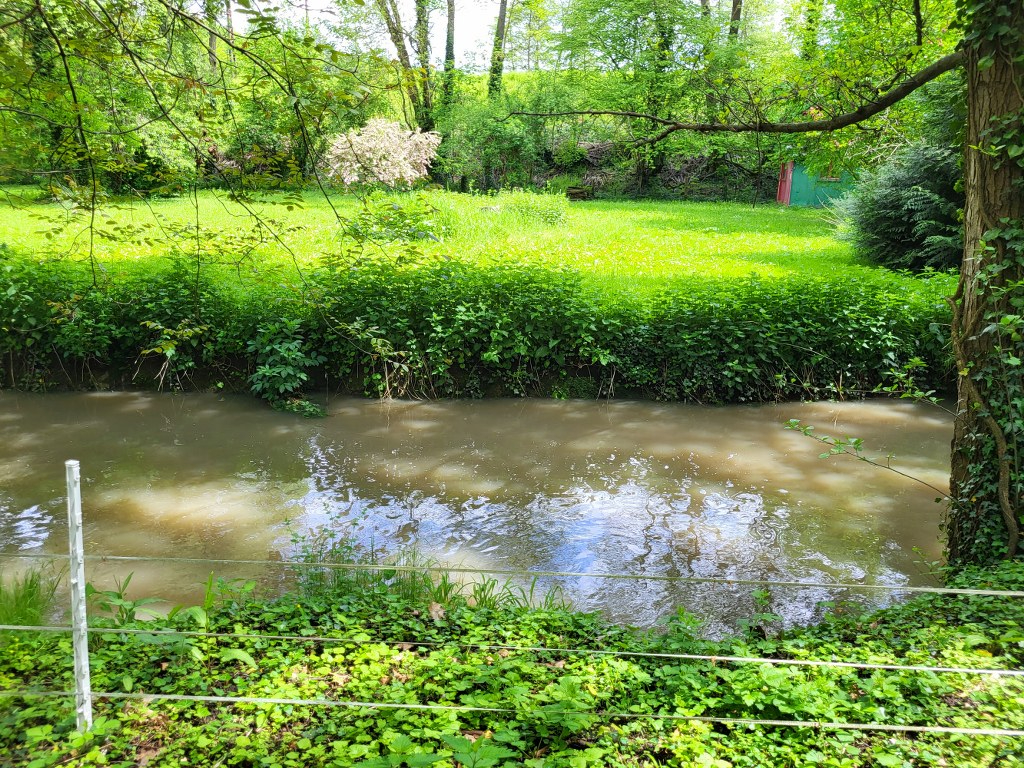 Photo BELLE PROPRIETE EPERNON image 2/6