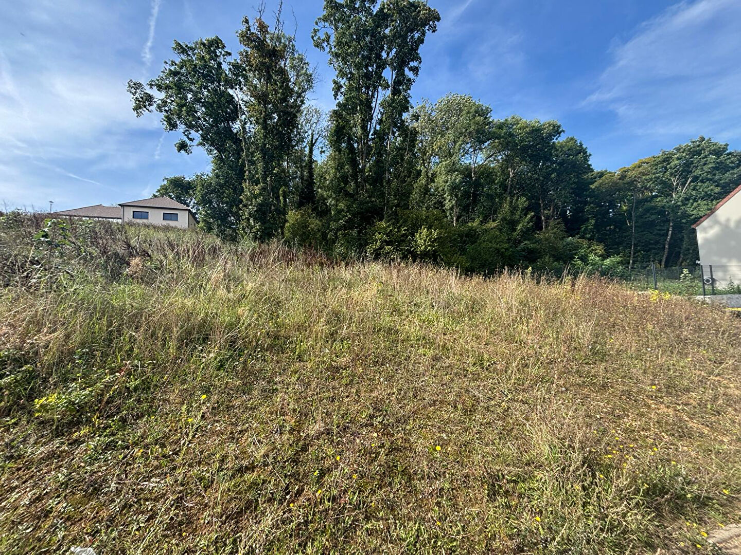 Terrain  A BATIR Nogent Le Roi 529 m2