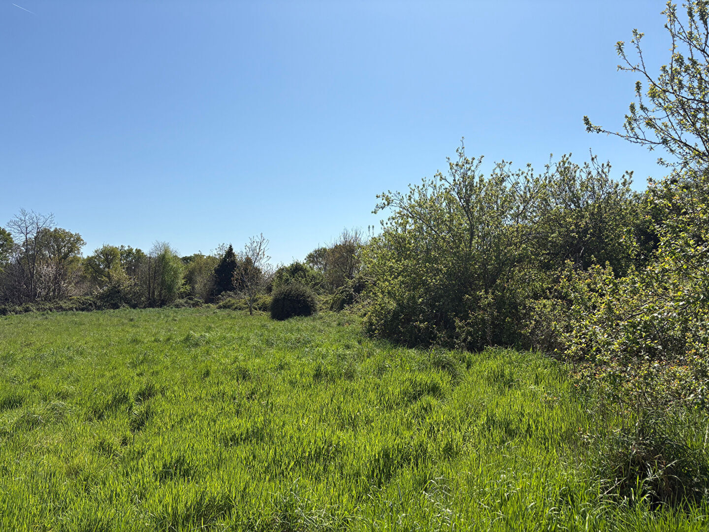 Agence immobilière de littoral - ouest immobilier - - Littoral Ouest Immobilier Bénodet